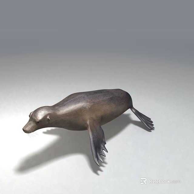 Marine Aquatic Animal Seal With Streamlined Body And Flippers In Swimming Posture 3d model 