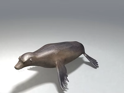 modern sea lion 3d model
