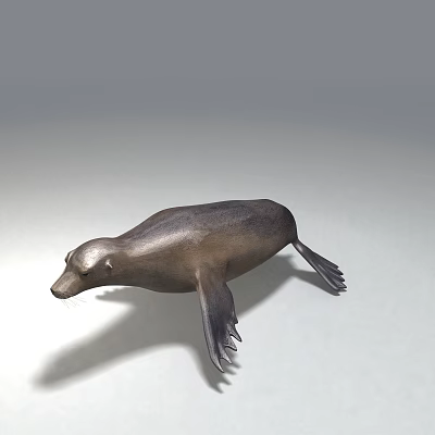 Marine Aquatic Animal Seal With Streamlined Body And Flippers In Swimming Posture 3d model