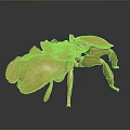 Golden Aquatic Crab With Shiny Surface And Detailed Texture On Dark Background