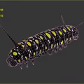 Caterpillar With Black Body Yellow Spots And Sharp Black Spines On Gray Background