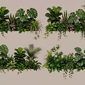 Indoor Tropical Greenery With Lush Monstera Ferns And Hanging Vines
