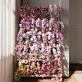 Colorful Potted Orchids On Multi Tiered Shelf In Sunlit Indoor Living Room