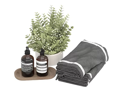 Daily Use Washing Products With Towels And Greenery 3d model