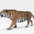 The Modern Tiger 3d model