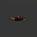 small turtle green turtle big turtle black turtle pacific turtle flat-backed turtle 3d model