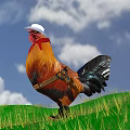 Rooster Wearing White Hat And Red Bow Tie On Green Grass With Sky Background