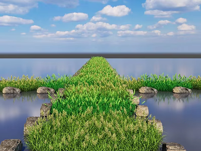 Green Grass And Plants Path In Water With Stones Blue Sky And White Clouds 3d model
