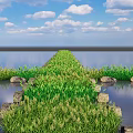 Green Grass And Plants Path In Water With Stones Blue Sky And White Clouds