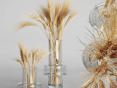 Decorative Transparent Glass Vases With Dried Wheat Ears For Home 3d model