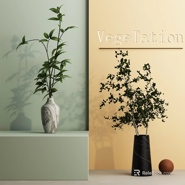 Stylish Decorative Vases With Green Foliage Plants On Shelf Against Colored Walls And Shadows 3d model 