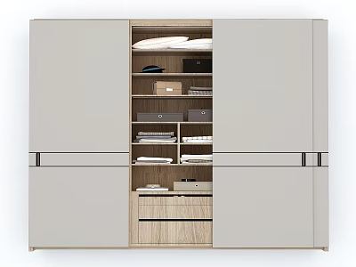 Modern Wardrobe Interior Design With Multiple Storage Shelves Drawers And Compartments 3d model