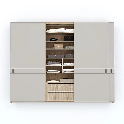 Modern Wardrobe Interior Design With Multiple Storage Shelves Drawers And Compartments 3d model