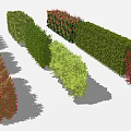 Colorful Shrubs Collection For Landscaping With Green Red And Yellow Varieties