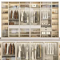 Modern Minimalist Wardrobe Interior With Hanging Clothes Drawers And Storage Shelves