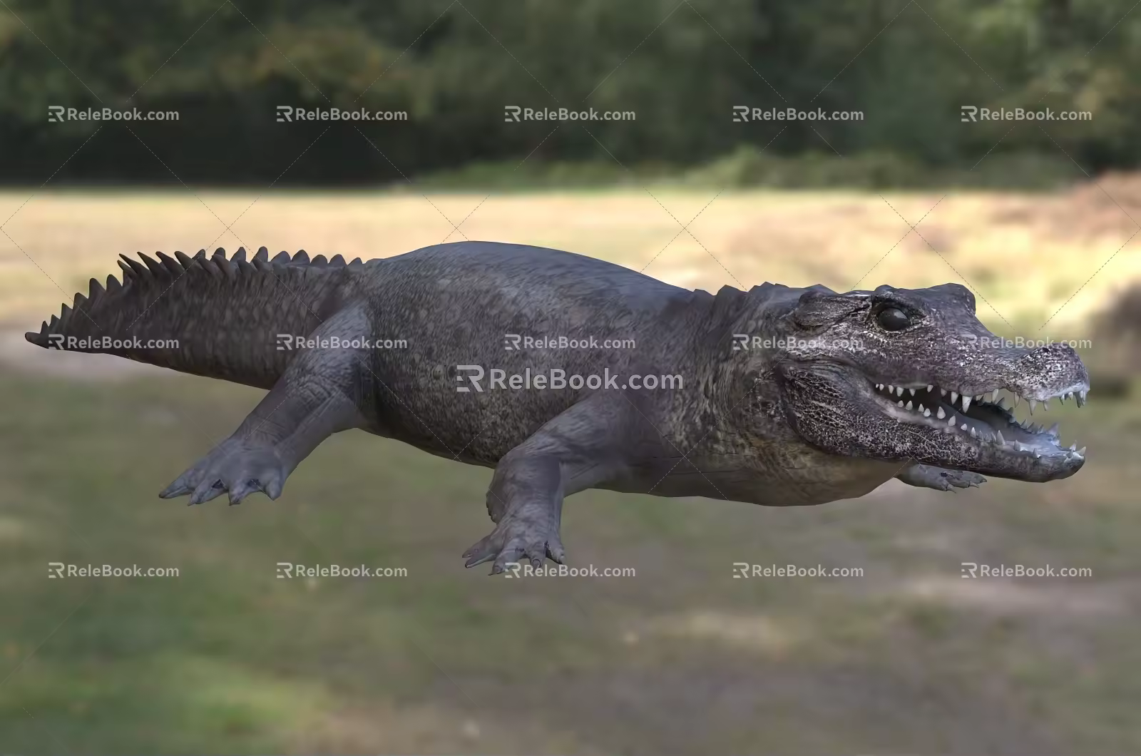 African pygmy crocodile creature 3d model
