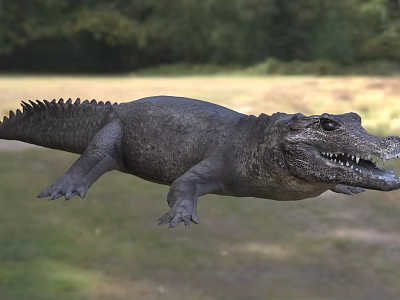 Large Crocodile Reptile in Outdoor Natural Habitat With Open Mouth Sharp Teeth and Scales 3d model