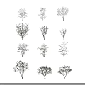 Trees in Different Growth Stages with Human Figures for Scale Reference 3d model