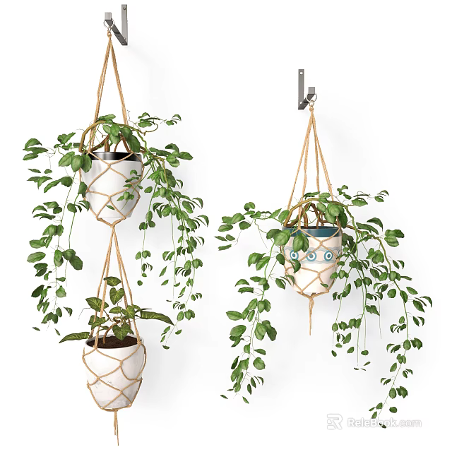 Multiple Macrame Hanging Planters With Trailing Green Plants And Ceramic Pots 3d model 