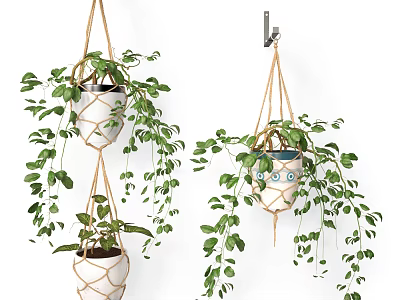 Multiple Macrame Hanging Planters With Trailing Green Plants And Ceramic Pots 3d model