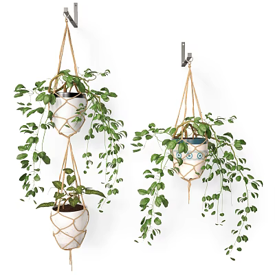 Multiple Macrame Hanging Planters With Trailing Green Plants And Ceramic Pots 3d model