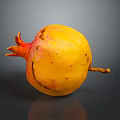 Yellow and Red Pomegranate with Speckled Skin on Dark Background with Reflection