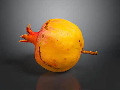 Yellow and Red Pomegranate with Speckled Skin on Dark Background with Reflection 3d model