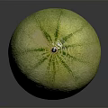 Fresh Green Cantaloupe Fruit with Textured Skin and Oval Shape on Black Reflective Surface