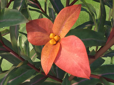 Vibrant Red Flower With Yellow Stamens And Lush Green Leaves 3d model