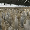 Numerous Terracotta Warriors Standing Arranged In Indoor Exhibition Hall Ground