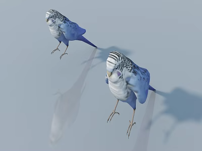 Animal character sketch 3d model