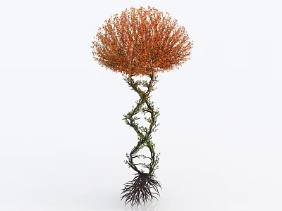 Unique Spiral Trunk Tree With Orange Red Foliage And Exposed Roots Design 3d model