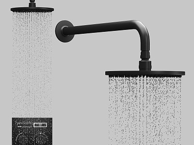 Modern shower head model