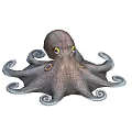 Brown Spotted Octopus With Yellow Eyes And Curled Tentacles Marine Life