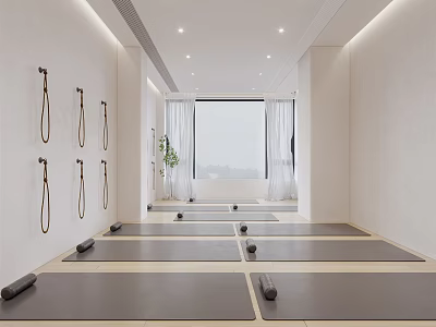 Modern Yoga Fitness Studio With Yoga Mats Wall Straps Green Plants And Large Window 3d model