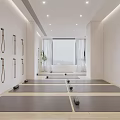 Modern Yoga Fitness Studio With Yoga Mats Wall Straps Green Plants And Large Window