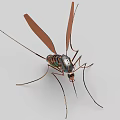 Smart Machine Bionic Mosquito Design With Mechanical Wings And Slender Metal Legs 3d model