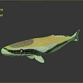Aquatic Whale 3D Model with Yellow White Black Brown Head Orange Eyes on Gray Background