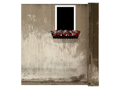 Red and White Flowers in Hanging Flower Pot on Weathered Wall Window 3d model