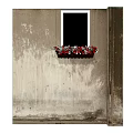Red and White Flowers in Hanging Flower Pot on Weathered Wall Window