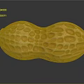 Detailed Whole Peanut With Natural Textured Shell On Black Reflective Surface