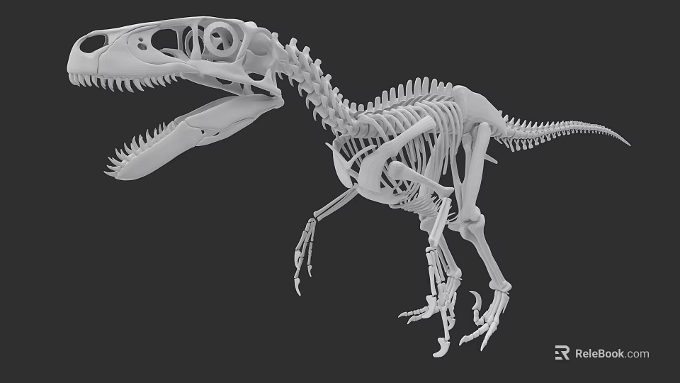 Realistic Reptile Dinosaur Skeleton 3D Model Showing Detailed Anatomical Structure 3d model 