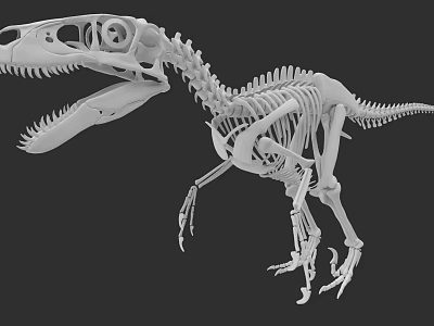 Realistic Reptile Dinosaur Skeleton 3D Model Showing Detailed Anatomical Structure 3d model