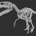 Realistic Reptile Dinosaur Skeleton 3D Model Showing Detailed Anatomical Structure
