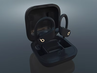Wireless Earbuds with Charging Case Ergonomic Ear Hooks Black Secure Fit for Sports 3d model
