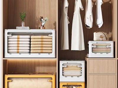 Home Storage Cabinet Rack With White Yellow Drawers Hanging Coats And Decorative Plants Ornaments 3d model