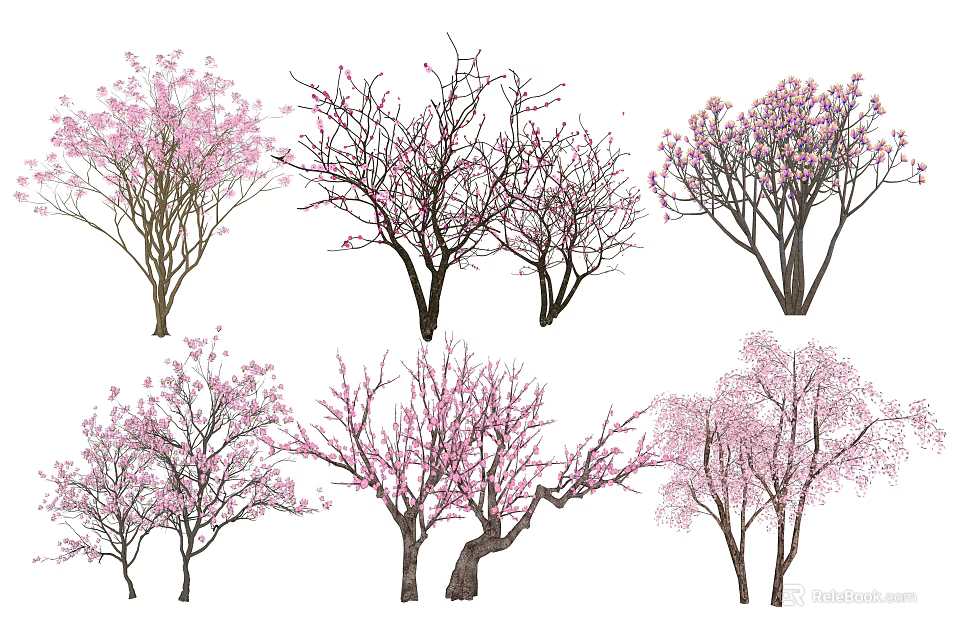 Various Arbor Trees with Pink Blossoms and Bare Branches in Different Forms 3d model 