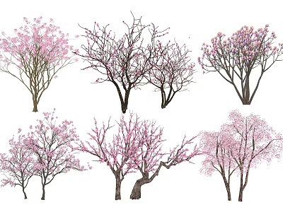 Various Arbor Trees with Pink Blossoms and Bare Branches in Different Forms 3d model