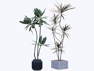 Home improvement potted plants 3d model