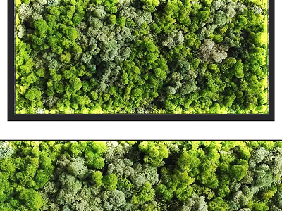Living Plant Wall With Lush Green Foliage For Indoor Vertical Garden Decor 3d model